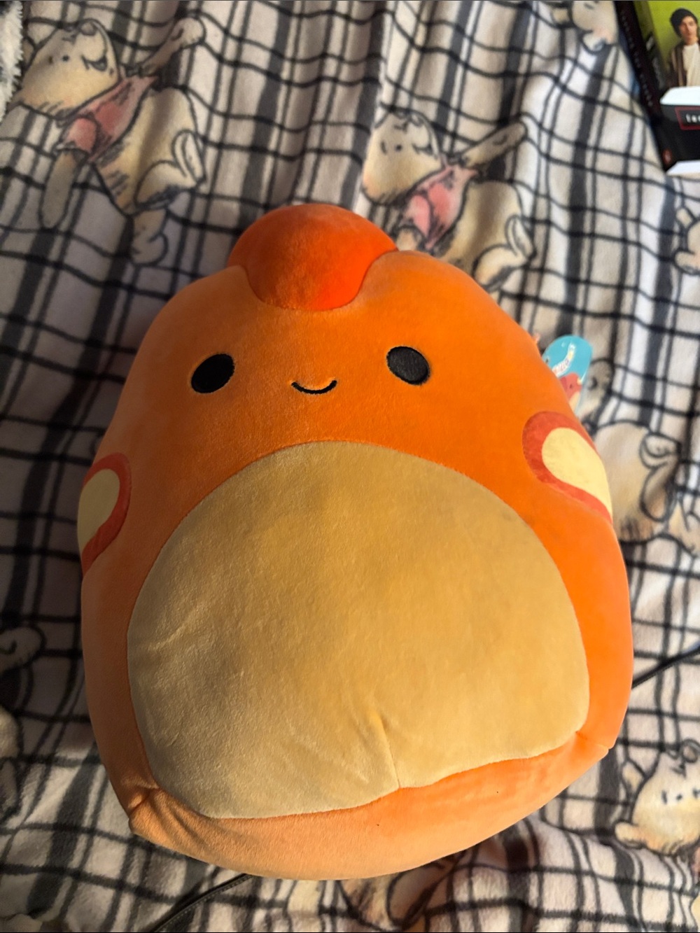 Squishmallows Orange and Cream Plush with Smiling Face